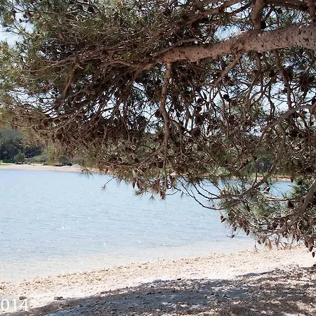 Finera Διαμέρισμα Pomer